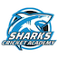 team icon