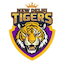 team icon