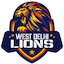 team icon