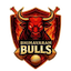 team icon