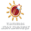 team icon