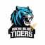 Kochi Blue Tigers